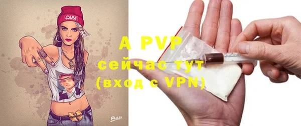 прущие грибы Майский