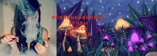 мяу мяу мука Магас