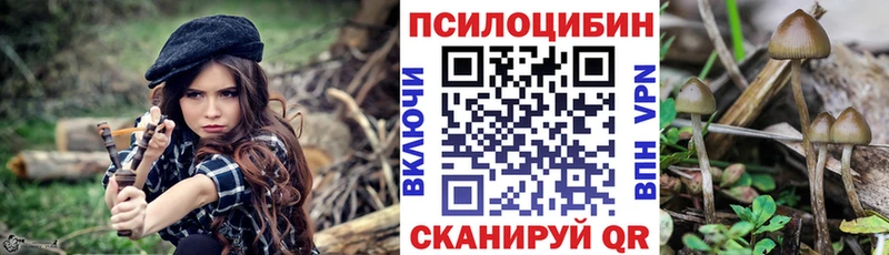 Купить  Лесозаводск  Галлюциногенные грибы Cubensis 